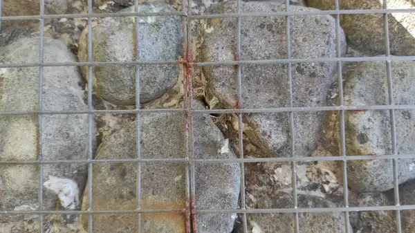 Demir telli bir taş.