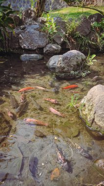 Büyük kare bir sandalye.