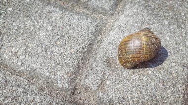 Büyük kare bir sandalye.