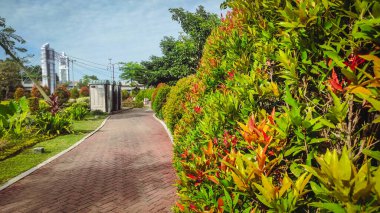 Serin ve hoş kokulu bitkiler.