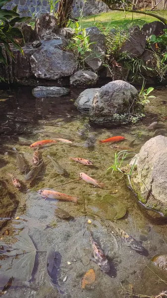 Büyük kare bir sandalye.