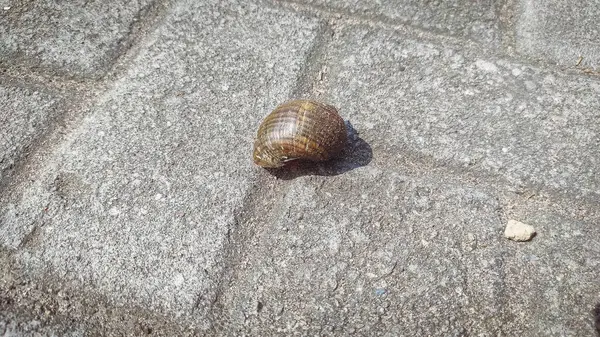 Büyük kare bir sandalye.