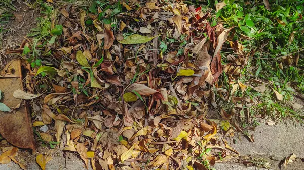 Solmuş yaprakları temizlemekten dökülen yapraklar.