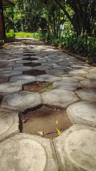 Ortasında altıgen şeklinde bir döner kavşağın olduğu bir domuz arazisi. Yuvarlak arazi