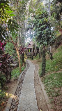 Parkta düz bir yol ve uzakta da ahşap bir ev var.