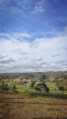 Çok bulutlu güzel bir dağ manzarası ve ayrıca açık mavi gökyüzü ve pirinç tarlalarının altında bazı yeşil bitkiler.