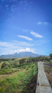 Çok bulutlu güzel bir dağ manzarası ve ayrıca açık mavi gökyüzü ve pirinç tarlalarının altında bazı yeşil bitkiler.
