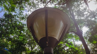 Aşağıdan güzel bahçe ışıkları görünüyor. Ağaçların dalları ve yaprakları var.