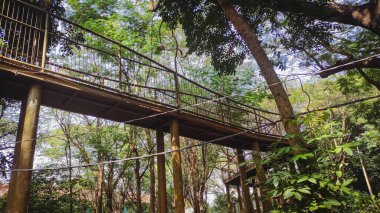 Aşağıdan birçok ağacın göründüğü bir ormanda demir bir köprü.