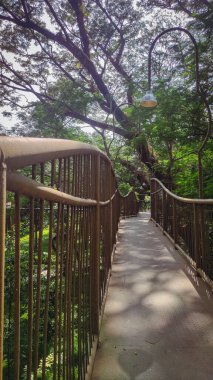 Ormanın üzerinde demirden ve çitlerden yapılmış bir yol.