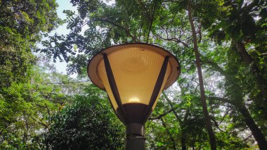 Aşağıdan güzel bahçe ışıkları görünüyor. Ağaçların dalları ve yaprakları var.