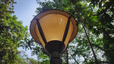 Aşağıdan güzel bahçe ışıkları görünüyor. Ağaçların dalları ve yaprakları var.