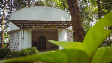 Beyaz bir ormanın ortasında bir cami.