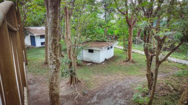 Kuru yapraklarla dolu çatısı olan ormanda bir ev.