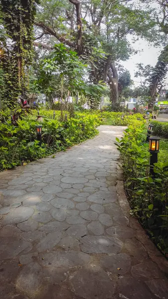 Parkta bir patika, bir sürü ağaç ve yeşil