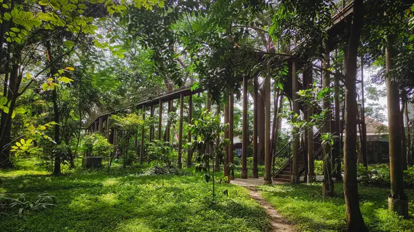 Gerçekten yeşil orman manzarası ve yanında demir köprüler var.