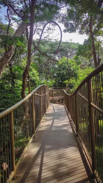 Ormanın üzerinde demirden ve çitlerden yapılmış bir yol.