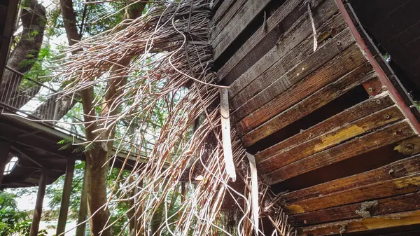 Bir sürü sallanan kök.