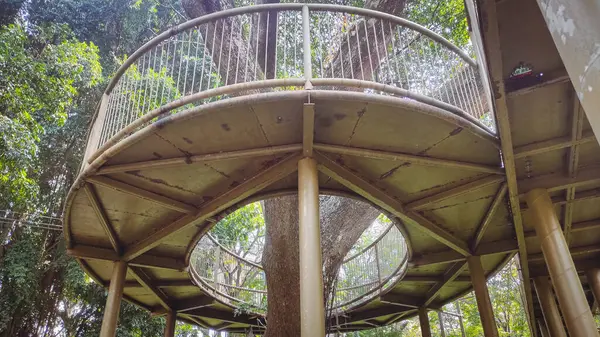 Ormanın ortasında bir demir merdiven. Bir sürü ağaç ve merdivende kablolar var.