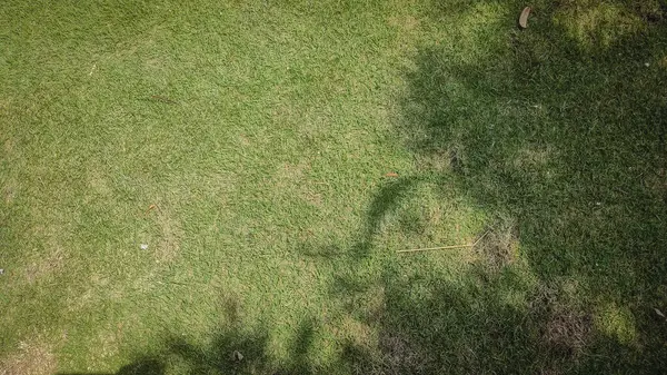 Parktaki güzel çeşme