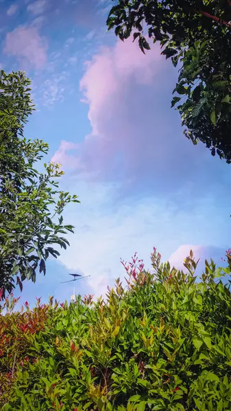 Parktaki güzel çeşme