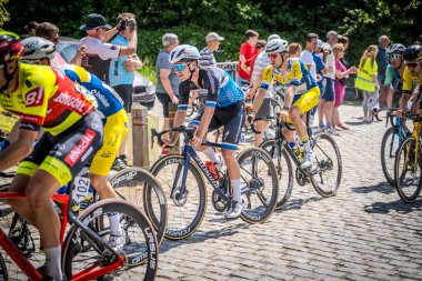 Belçika Şampiyonası Seçkin erkekler 2024