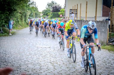 Belçika Şampiyonası Seçkin erkekler 2024