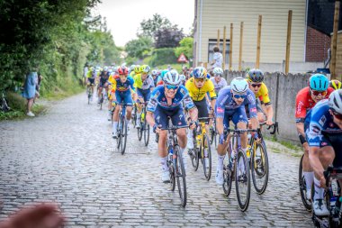 Belçika Şampiyonası Seçkin erkekler 2024