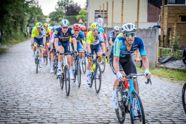 Belçika Şampiyonası Seçkin erkekler 2024