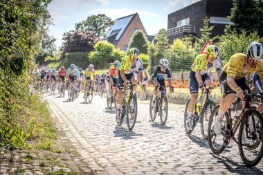 Belçika Şampiyonası Seçkin erkekleri bisiklete bindiriyor