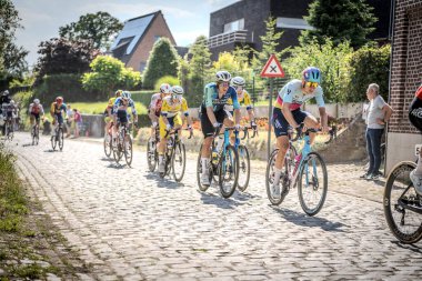 Belçika Şampiyonası Seçkin erkekleri bisiklete bindiriyor