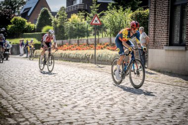 Belçika Şampiyonası Seçkin erkekleri bisiklete bindiriyor