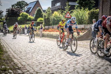Belçika Şampiyonası Seçkin erkekleri bisiklete bindiriyor