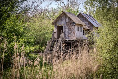 Kaloskovskaya köyünde terk edilmiş bir ev.