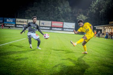 Berchem Sport - Bocholt arasında oynanan ikinci lig amatörleri maçında 19 / 10 / 2024