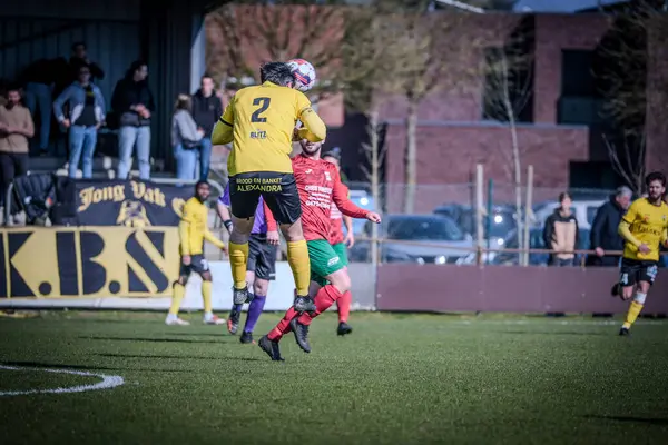 2025-03-16 Berg en dal-Berchem Sport, Belçika 'nın alt bölgelerinde rekabet maçı