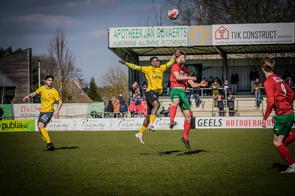 2025-03-16 Berg en dal-Berchem Sport, Belçika 'nın alt bölgelerinde rekabet maçı