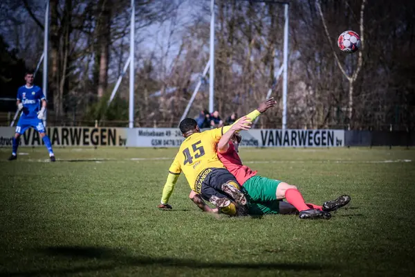 2025-03-16 Berg en dal-Berchem Sport, Belçika 'nın alt bölgelerinde rekabet maçı