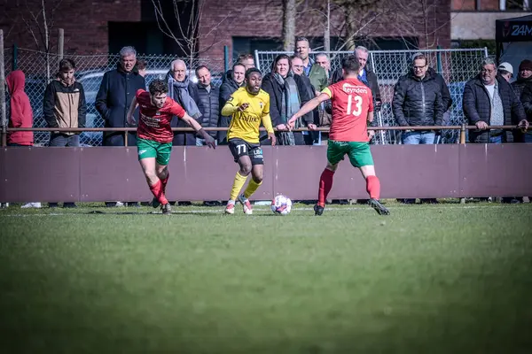2025-03-16 Berg en dal-Berchem Sport, Belçika 'nın alt bölgelerinde rekabet maçı