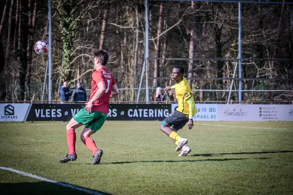 2025-03-16 Berg en dal-Berchem Sport, Belçika 'nın alt bölgelerinde rekabet maçı