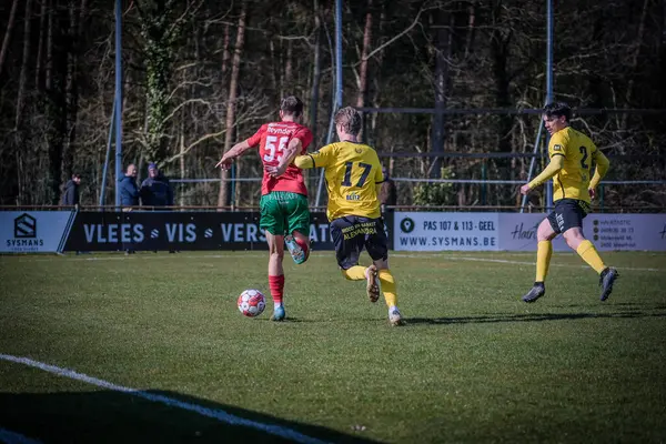 2025-03-16 Berg en dal-Berchem Sport, Belçika 'nın alt bölgelerinde rekabet maçı