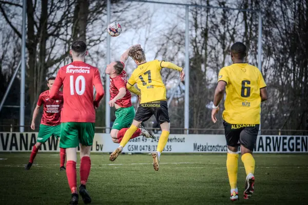 2025-03-16 Berg en dal-Berchem Sport, Belçika 'nın alt bölgelerinde rekabet maçı