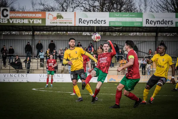 2025-03-16 Berg en dal-Berchem Sport, Belçika 'nın alt bölgelerinde rekabet maçı