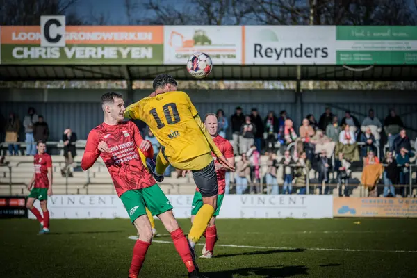 2025-03-16 Berg en dal-Berchem Sport, Belçika 'nın alt bölgelerinde rekabet maçı