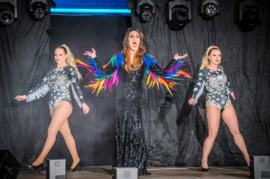 29-03-2025 travesti gösterisi Farklı sanatçılar kendilerini en iyi şekilde sunar