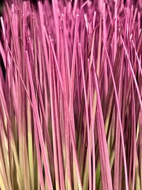 Arka plandaki yapay çimenler kapanıyor. Doku