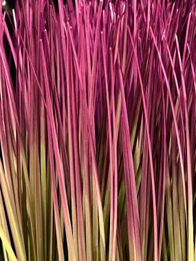 Arka plandaki yapay çimenler kapanıyor. Doku