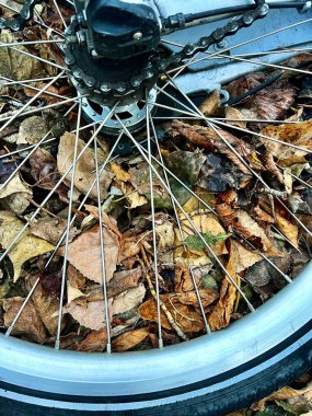 Düşen sonbahar yapraklarına karşı bisiklet tekerinin yakın çekimi. Teller ve zincirin bir kısmı görülebilir, soğuk metal ve doğanın sıcak renkleri arasında bir kontrast oluşturur..