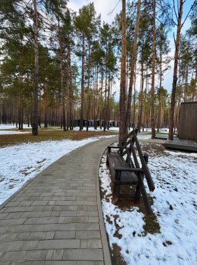 Çam ormanında kış manzarası. Yavaşça kıvrımlı bir patika ve orijinal ahşap bir bank. Arka planda, modern evler ağaçlar arasında görülebilir..