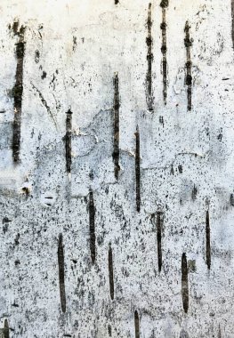 Koyu çatlaklar ve yosunlu açık huş ağacı kabuğu dokusu. Doğal ağaç deseni, yakın plan, ekolojik arkaplan.